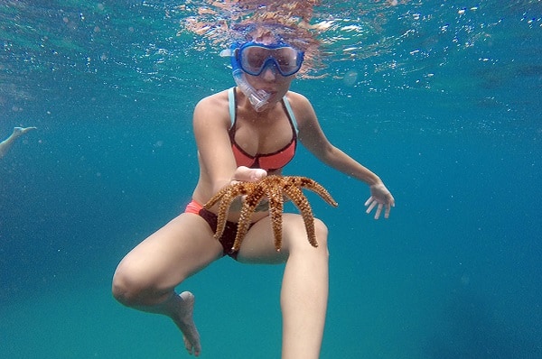 snorkelling playa blanca