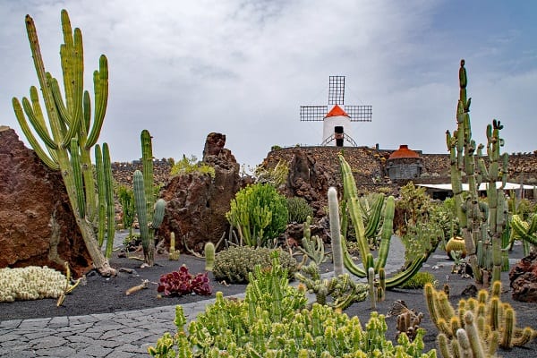 Jardin de Cactus